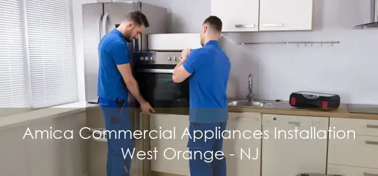 Amica Commercial Appliances Installation West Orange - NJ