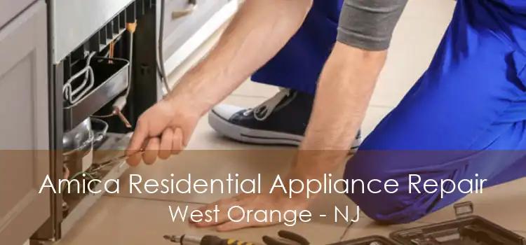 Amica Residential Appliance Repair West Orange - NJ