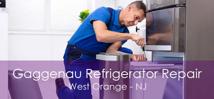 Gaggenau Refrigerator Repair West Orange - NJ