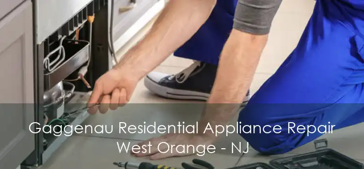 Gaggenau Residential Appliance Repair West Orange - NJ