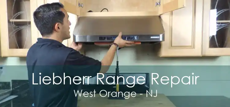 Liebherr Range Repair West Orange - NJ