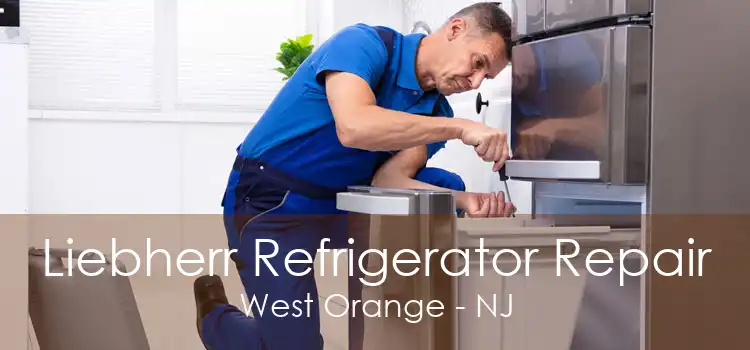 Liebherr Refrigerator Repair West Orange - NJ