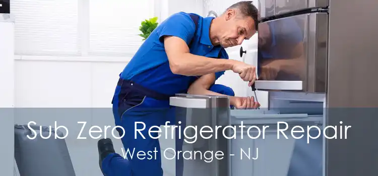 Sub Zero Refrigerator Repair West Orange - NJ